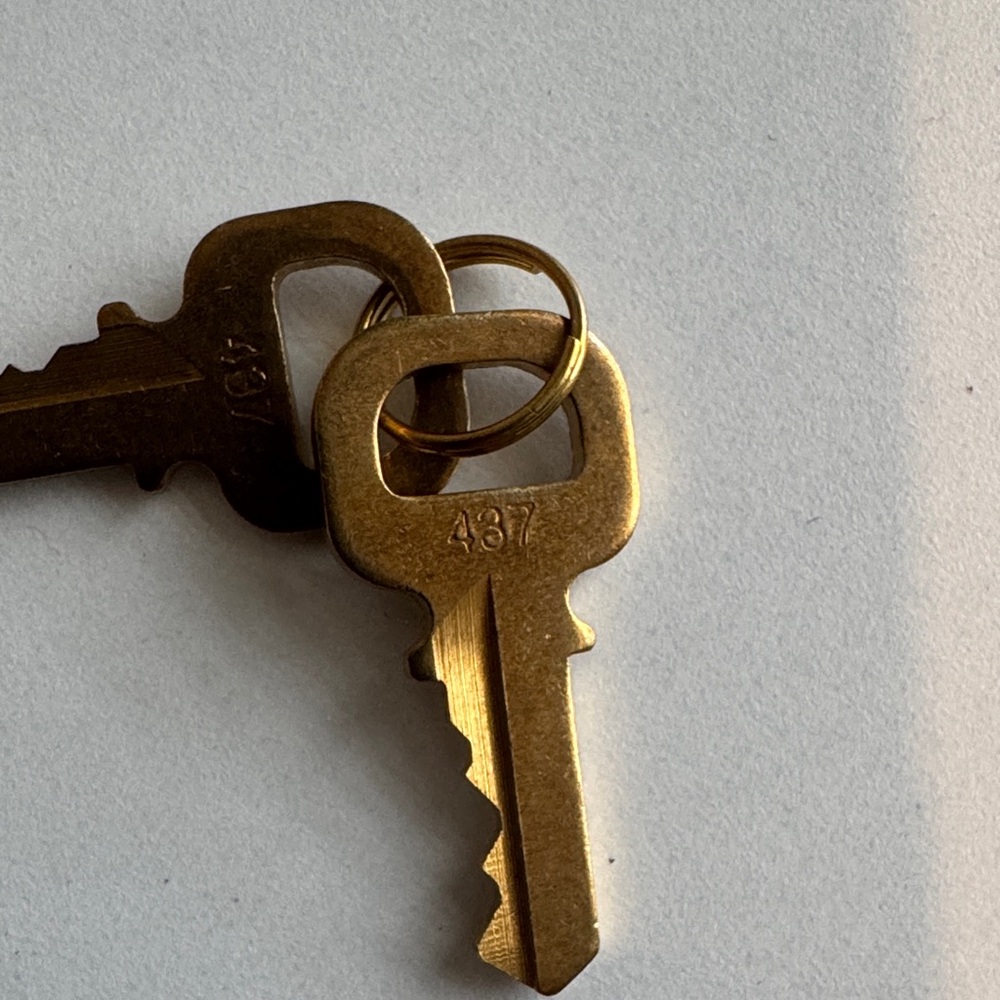 Authentic LV Key Set #437 - Picture 2 of 4
